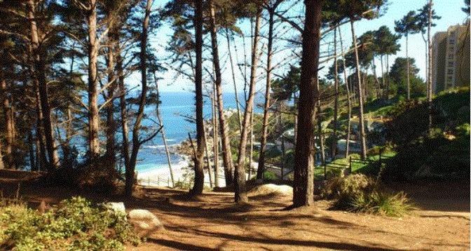 Departamento Algarrobo Condominio Laguna Kültér fotó